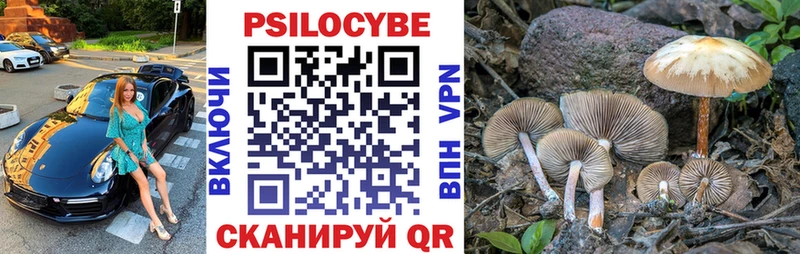 MEGA сайт  Староминская  Псилоцибиновые грибы мицелий 