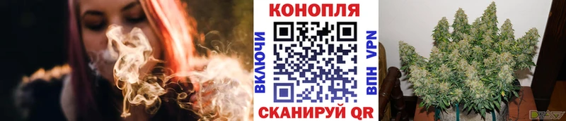 Бошки марихуана планчик  Староминская 